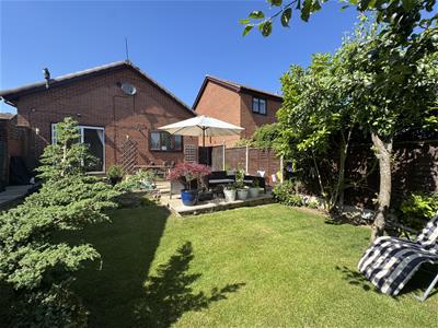 Picture 19